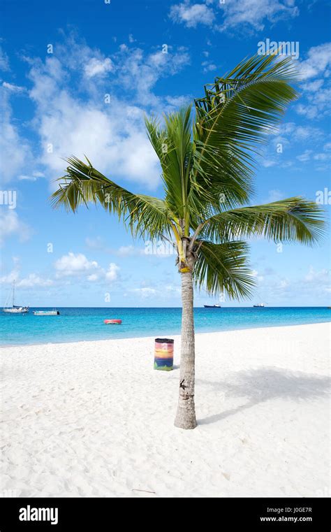 Bridgetown Barbados Tropical Island Caribbean Sea Brownes Beach