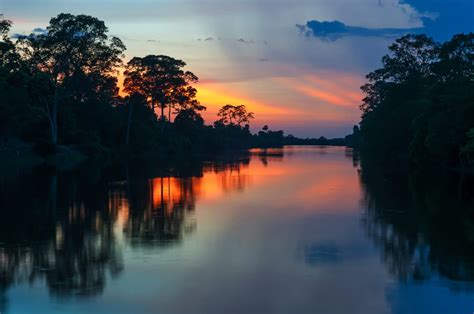 Why should we care about the Amazon rainforest? - Land of Size