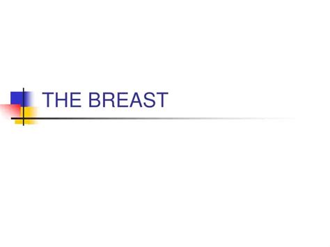 Ppt The Breast Powerpoint Presentation Free Download Id1228741
