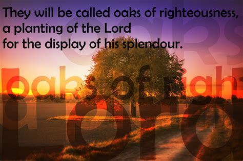 Isaiah 611 4 8 11 Oaks Of Righteousness The Reflectionary