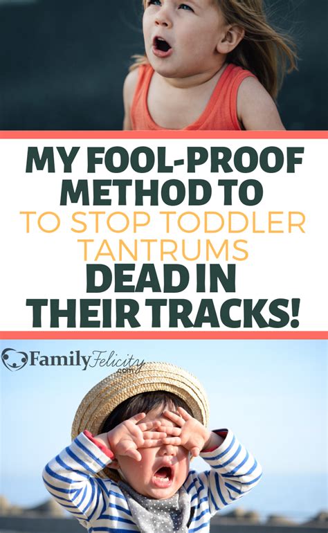 End Your Toddlers Temper Tantrum Quickly With These Simple Steps