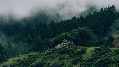 A collection of the top 53 aesthetic nature wallpapers and backgrounds available for download for free. na25-nature-mountain-green | Nature desktop wallpaper ...