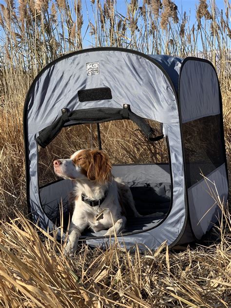 We did not find results for: K9 KENNEL POP-UP DOG TENT | My Wholesome Pet