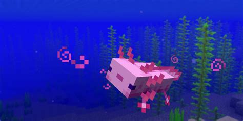 Minecraft Axolotls Facts
