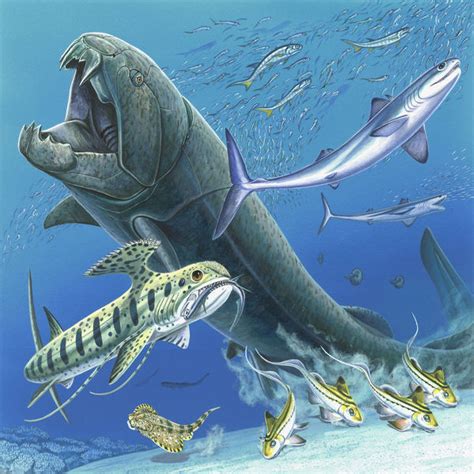Prehistoric Marine Life Of Around 380 To 360 Million Years Ago Showing