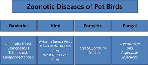 Welfare of Pet Birds and Potential Zoonoses | IntechOpen