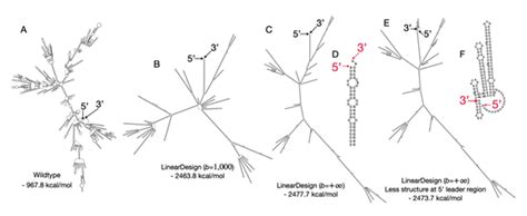 Once the instructions (mrna) are for example the triplet, aaa, is the instruction to add the amino acid lysine to the protein sequence. New Baidu Algorithms Boost mRNA Vaccine Development for ...