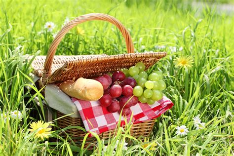 Released on 22 july, 2021. Picnic HD Wallpapers - Wallpaper Cave