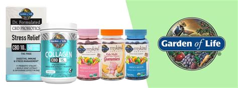 Best vitamin brands 2020 uk. Best US Vitamin Brands - Shop Online From USA & UK, Ship ...