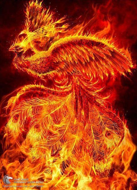 9 Best Vermilion Bird Tattoo Images In 2020 Phoenix Bird Phoenix Art