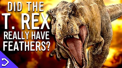 Did T Rex Have Feathers Youtube