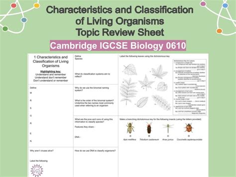 Characteristics And Classification Of Living Organisms Topic Review