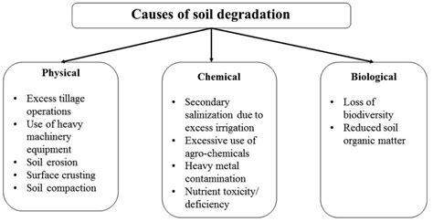 Different Types Of Soil Degradation Download Scientific Diagram