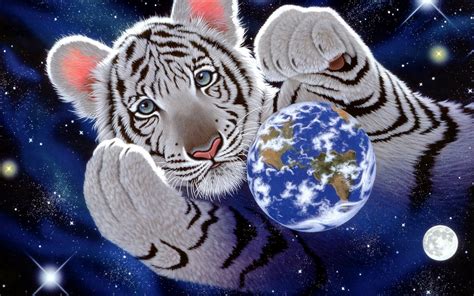 White Tiger Hd Wallpaper Background Image 1920x1200