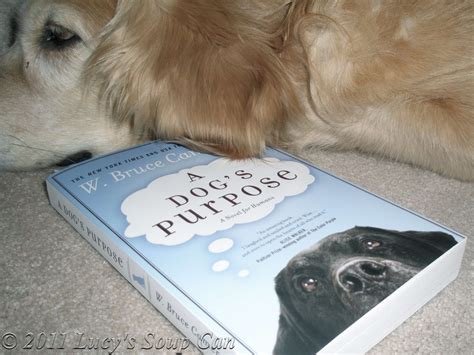 Lucys Soup Can Book Review A Dogs Purpose By W Bruce Cameron