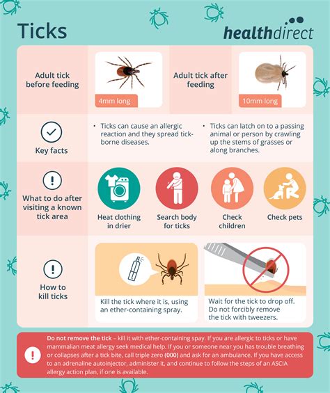 Tick Bites Symptoms Treatments And Prevention Healthdirect