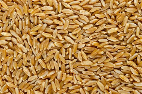 Viimeisimmät twiitit käyttäjältä kamut®brand wheat (@kamutbrand). Descubre el trigo kamut y sus propiedades nutricionales
