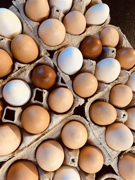 PRE-ORDER: Local Farm Fresh Eggs – Everyday Gourmet Catering