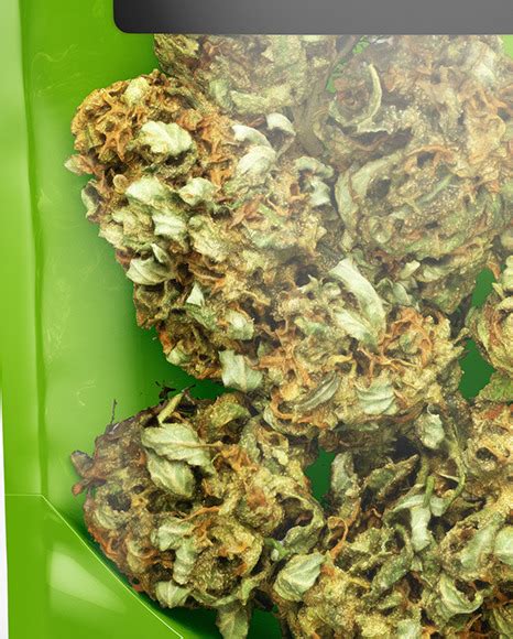Download Stand-Up Pouch w/ Weed Buds Mockup in Pouch Mockups on ...