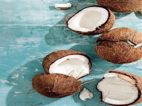 Coconut Wallpapers Top Free Coconut Backgrounds Wallpaperaccess
