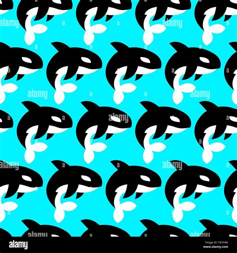 Killer Whale Orca Illustration Stock Vector Image And Art Alamy