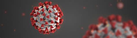 3 masukkan id pelanggan atau nomor meter pada kolom pencarian. Coronavirus (COVID-19)
