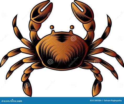 Crab Stock Vector Illustration Of Icon Marine Adorable 81385586