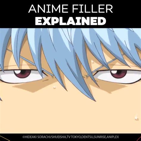 Are Anime Filler Important