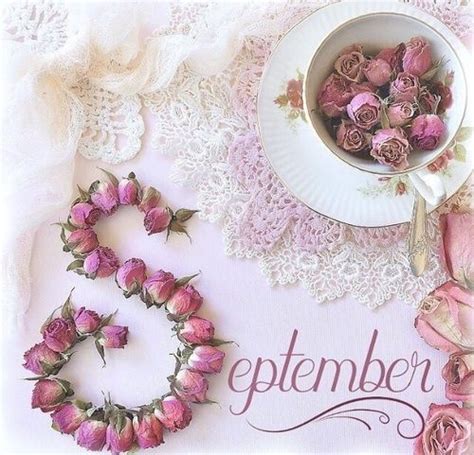 To confirm your email, click on confirm your account in the email we just sent to undefined. @antique_r_us 🌸Instagram #september | Spring photos ...
