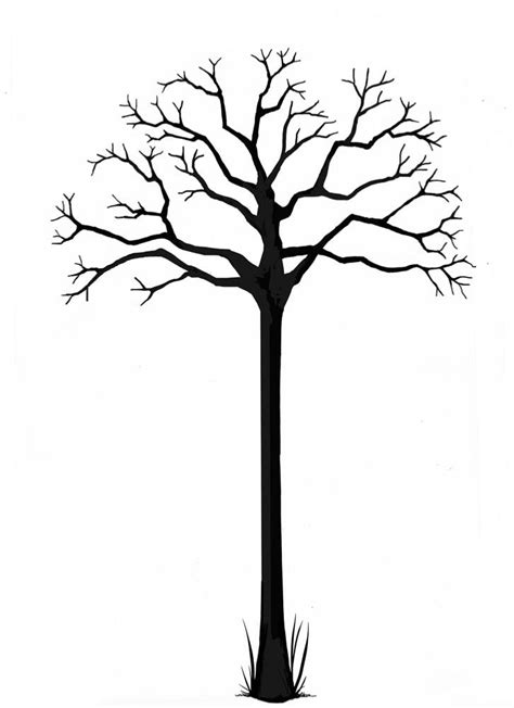 Autumn Tree Drawing At Getdrawings Free Download