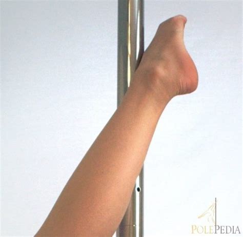 Guide Grips And Holds Polepedia Learn Pole Dancing