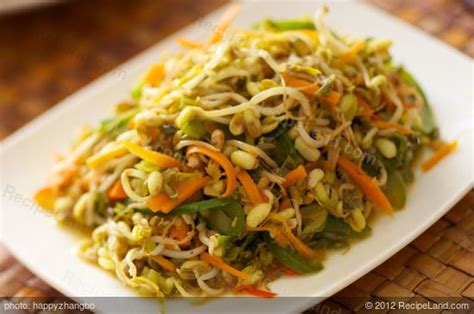 Bean Sprouts Stir Fry With Bell Pepper And Carrot Recipe