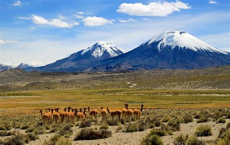 16 Top Rated Tourist Attractions In Chile Planetware