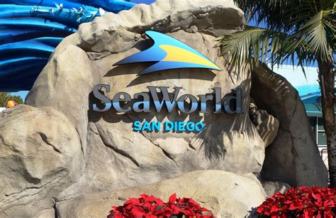 Meet millionaire men at millionairematch.com. SeaWorld San Diego Guide