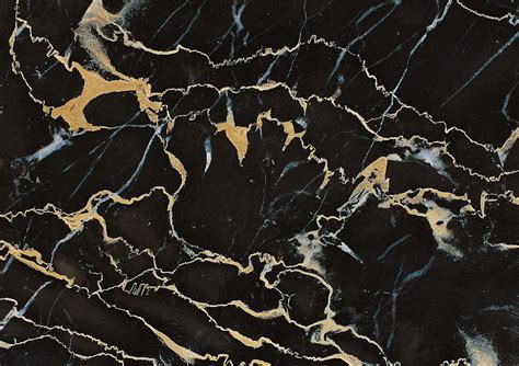 Get info of suppliers, manufacturers, exporters, traders of golden portoro marble for buying in india. Portoro | Meda Marble