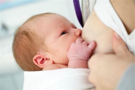 Ninguna Vacuna Est Contraindicada Durante La Lactancia Materna