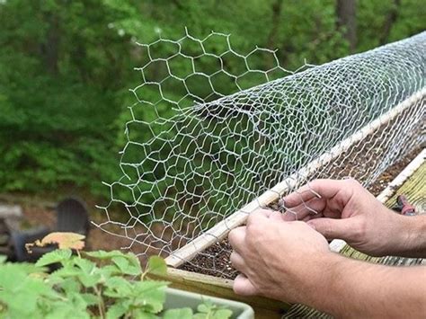 What are some methods for repelling and riding squirrels away? How to Keep Squirrels Out of Your Garden
