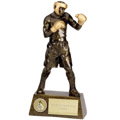 Quality Boxing Trophy