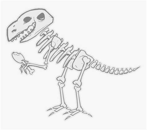 How To Draw A Dinosaur Skeleton Easy Learn How To Draw