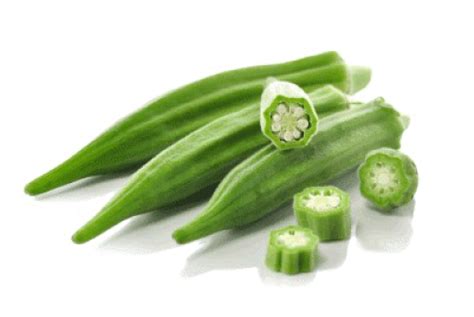 Free Okra PNG Images With Transparent Backgrounds FastPNG