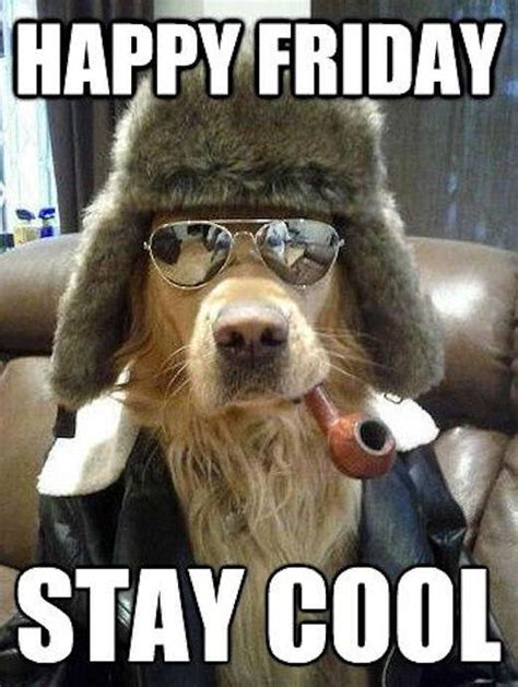 Happy Friday Stay Cool Pictures Photos And Images For Facebook
