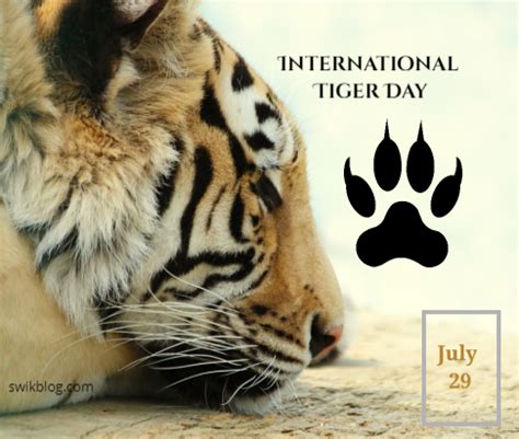Petersburg tiger summit, and now. Awareness Day Events Knowledge