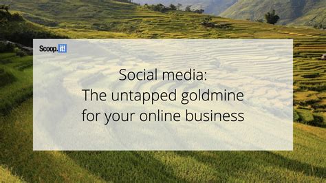 Social Media: The Untapped Goldmine for Your Online Business - Scoop.it