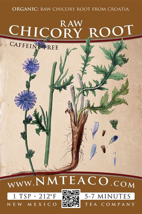 Chicory coffee is made with chicory root. Raw Chicory Root | Organic
