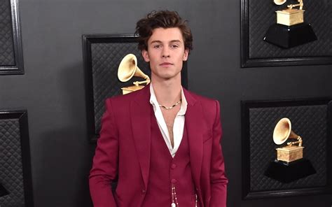 Shawn Mendes Net Worth 2023 Singer Career Income Cars Age