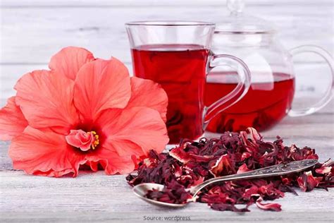 15 Amazing Health Benefits Of Hibiscus Flower Tea Agua De Jamaica
