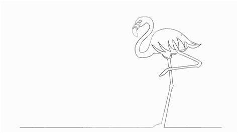Flamingo Line Drawing At Explore Collection Of