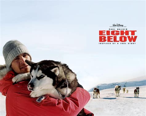 Davis mcclaren, the sled dog trainer jerry shepherd has to leave the polar base with his colleagues due to the proximity of a heavy snow storm. Laura's Miscellaneous Musings: Tonight's Movie: Eight ...