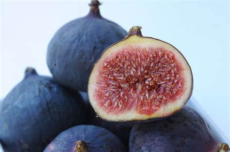 Mix and match fruit plants. Five health benefits of figs and a dairy-free spread recipe