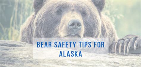 Bear Safety Tips For Alaska Tips For Bear Safety Alaska Homes For